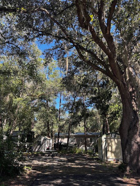 25345 NE 140TH PL,( LOT #351), SALT SPRINGS, FL 32134 property photo 2
