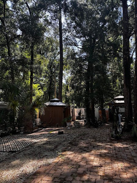 14101 NE 253RD COURT (LOT #414), SALT SPRINGS, Florida 32134 property photo 2