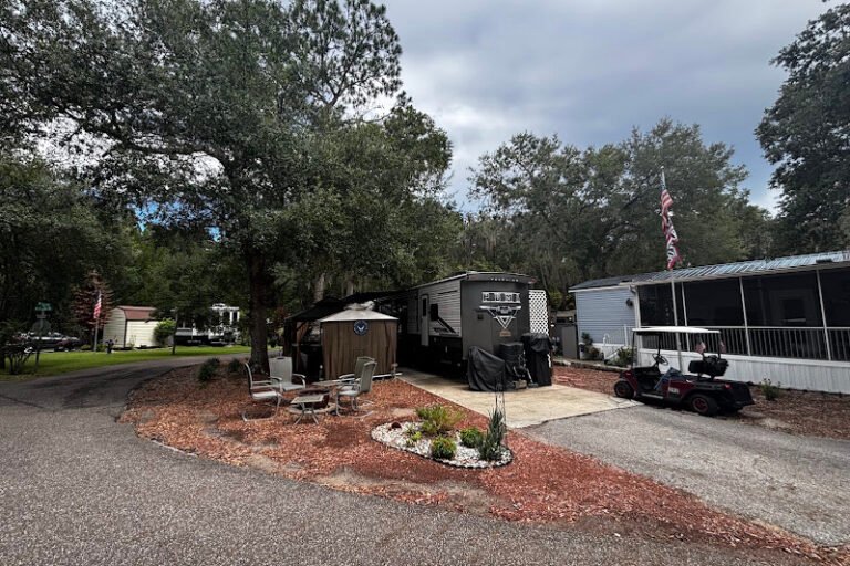 14105 NE 253RD AVENUE ROAD (LOT #392), SALT SPRINGS, Florida 32134 property