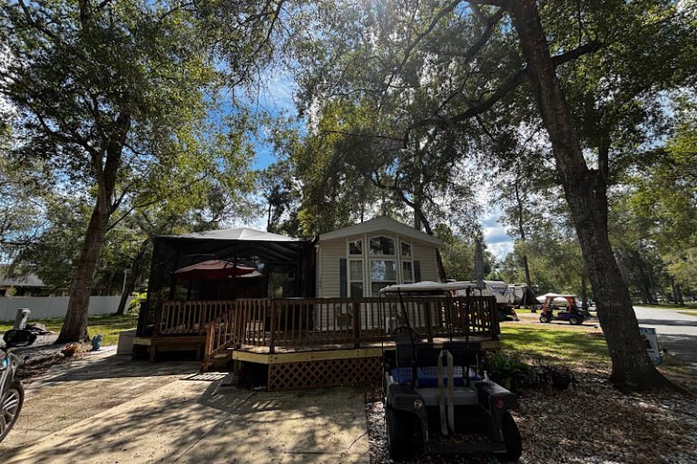 14195 NE 252ND COURT RD (LOT 109) SALT SPRINGS FL 32134 property