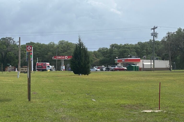 11471 E HIGHWAY 316, FORT MC COY, Florida 32134 property