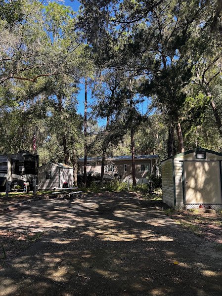 25345 NE 140TH PL,( LOT #351), SALT SPRINGS, FL 32134 property photo 3