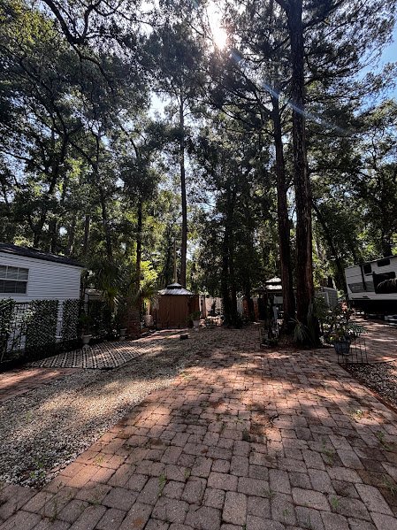 14101 NE 253RD COURT (LOT #414), SALT SPRINGS, Florida 32134 property photo 3