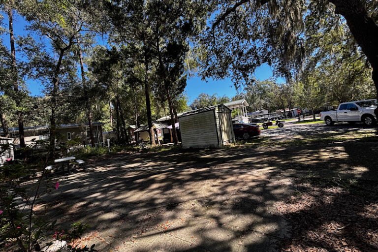 25345 NE 140TH PL,( LOT #351), SALT SPRINGS, FL 32134 property