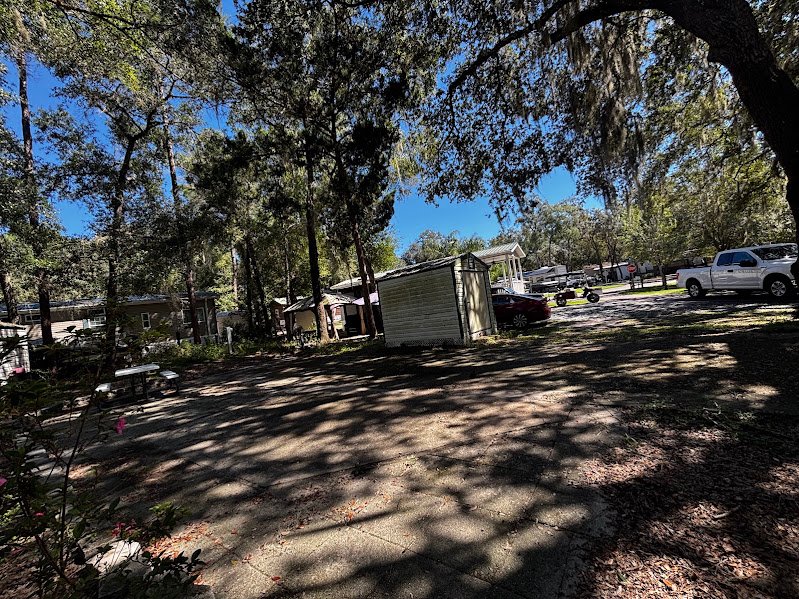25345 NE 140TH PL,( LOT #351), SALT SPRINGS, FL 32134 property photo 1