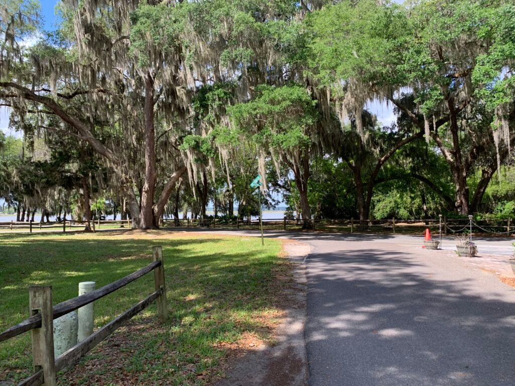 25145 NE 140TH LOOP (LOT#26), SALT SPRINGS, Florida 32134 property photo 2