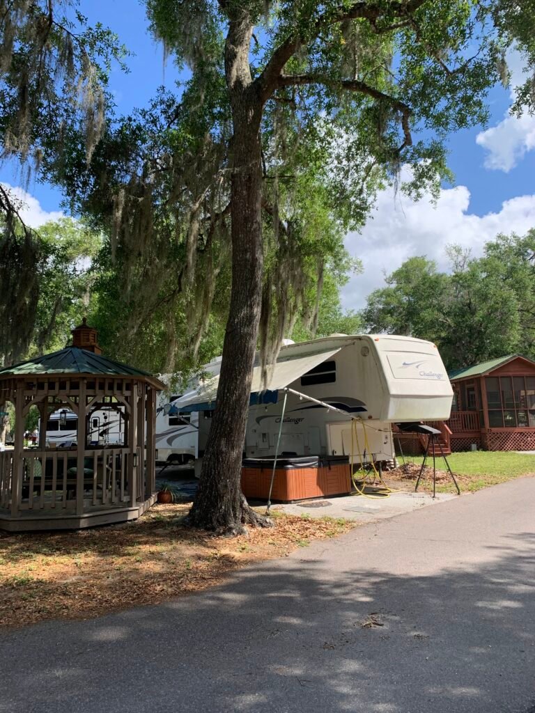 25145 NE 140TH LOOP (LOT#26), SALT SPRINGS, Florida 32134 property photo 3