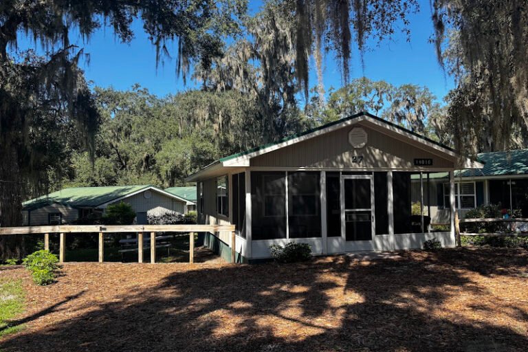 14010 NE 250TH CIRCLE (cottage 27) SALT SPRINGS FL 32134 property